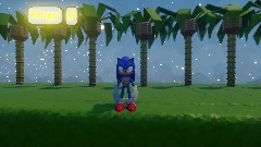 Sonic adventures