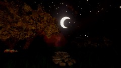 Halloween Night Views