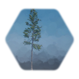 My most recent trees