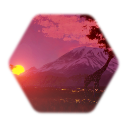 Umbrella Acacia Tree