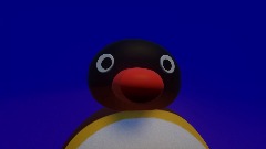 NOOT NOOT!