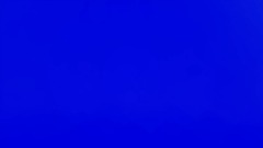 Sillies with a camera!!!!