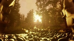 Realistic graphics Forest