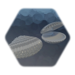 Seashell