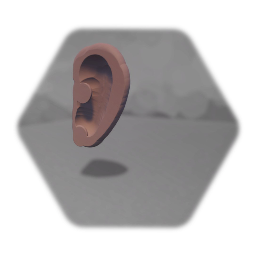 Ear