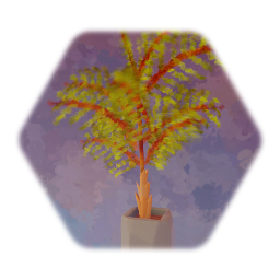 Potted Tree Plant