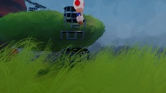 Toads crazy adventure