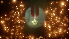 Test Bronze Star Medal