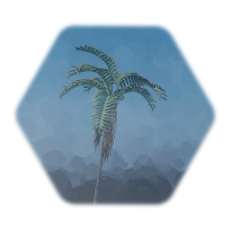 Palm