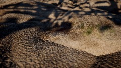 Realistic Scene Test