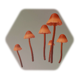 Mushrooms D