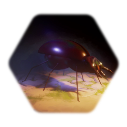 Beetle
