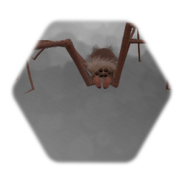 Spider