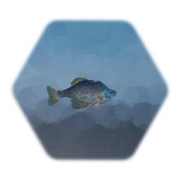 Bendy Fish 1