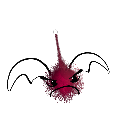 Red_Valkiria