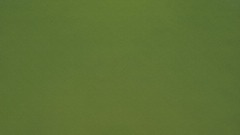 A screenshot taken in Dreams. 10 of 10.