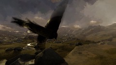 Giant Flying Bird VR experience