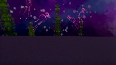 Swimming With The Jellies