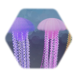 Jellyfish