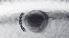 Bacterial Bodies 8a
