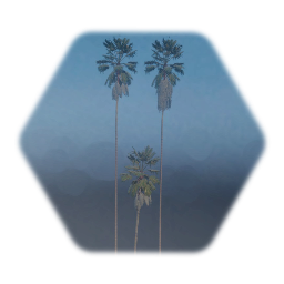 Ultra Realistic Mexican fan Palm tree