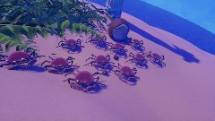 Crab rave