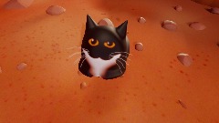 Maxwell on Mars