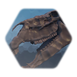 Horse skull