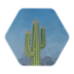 Desert Collection - WIP