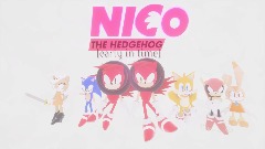 Nico The Hedgehog: [early in time] (Round 2) [Original]