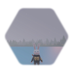 Ninja Bunny Empty world