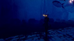 2B  vs Balena Furiosa.