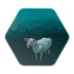 Basic sheep