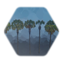 Trees & Palms of Florida