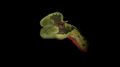 Movie accurate Dilophosaurus