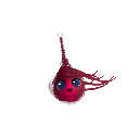 VinesOfBinding9