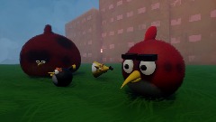 My Angry birds Picture