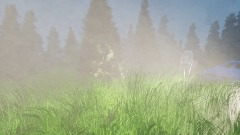 Forest showcase