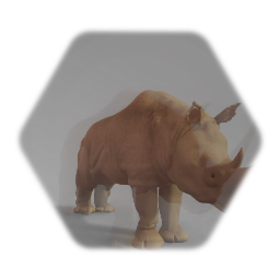 White Rhinoceros