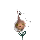 leomarsagl