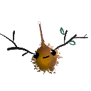EnderNexus