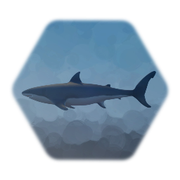 Shark (Great White)