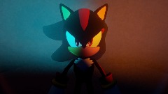 Shadow the hedgehog is invisible