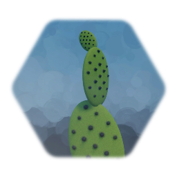 Barbary Fig Cactus