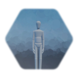 Realisticish First Person Character