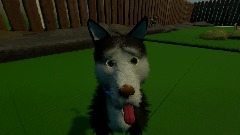 Who Let The Dog Out?