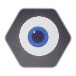 The eye