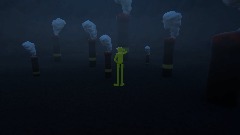 Lil Kermits birthday party