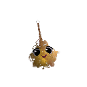 jim2k9