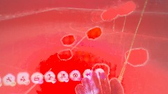 Aaaaaaaaaaaaah